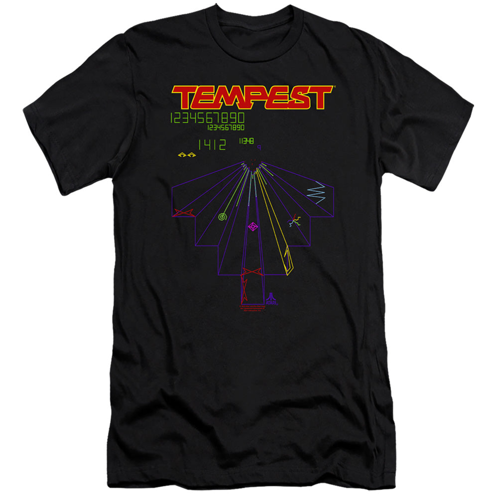 ATARI/TEMPEST SCREEN