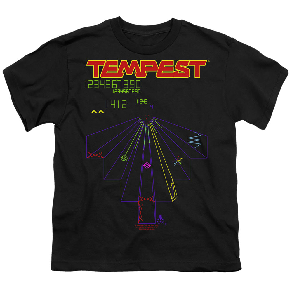 ATARI/TEMPEST SCREEN