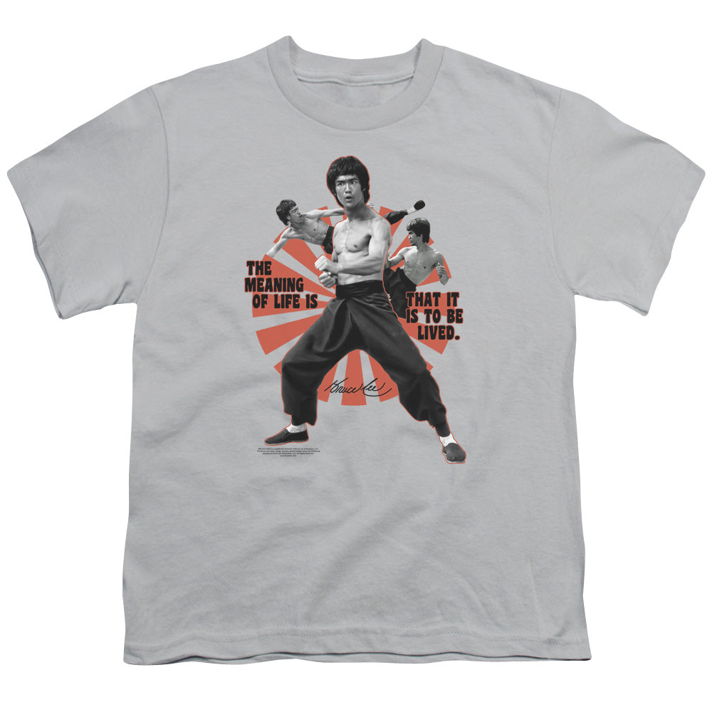 BRUCE LEE/MEANING OF LIFE