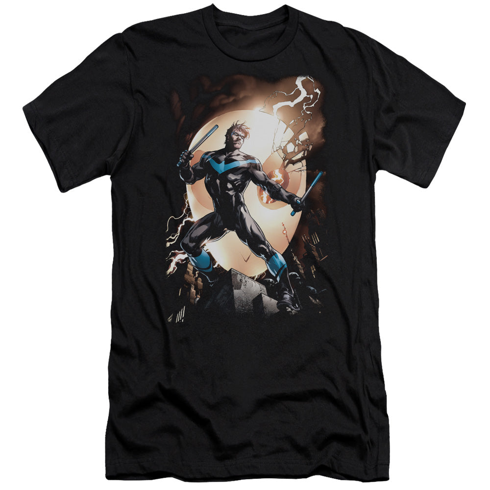 Nightwing Against Owls