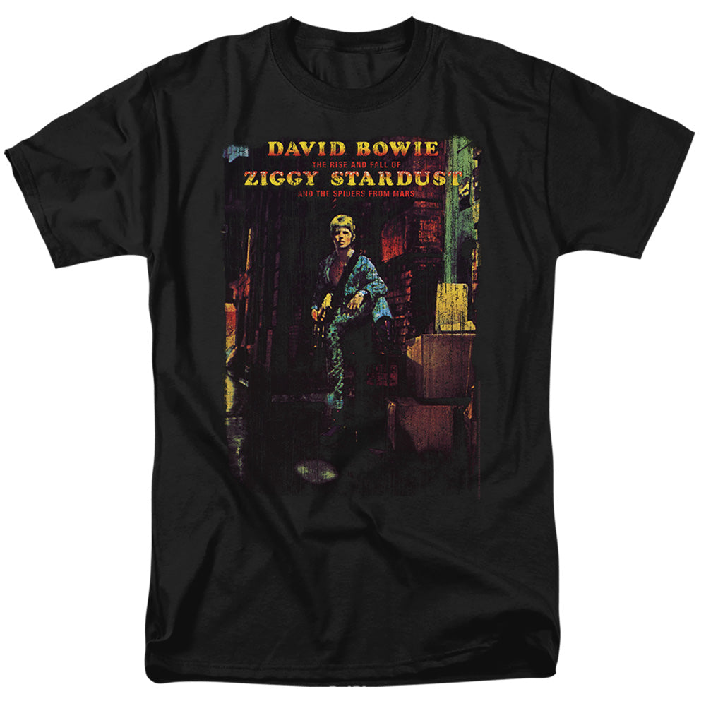 DAVID BOWIE/ZIGGY STARDUST ALBUM