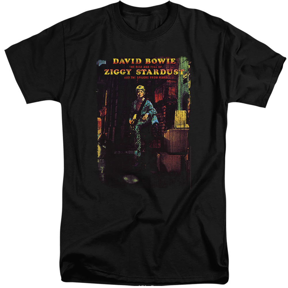 DAVID BOWIE/ZIGGY STARDUST ALBUM