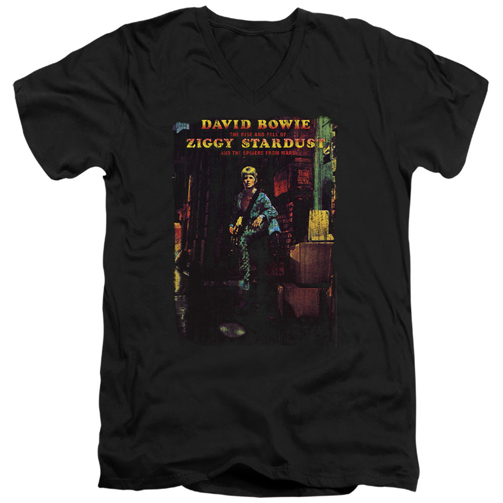 DAVID BOWIE/ZIGGY STARDUST ALBUM