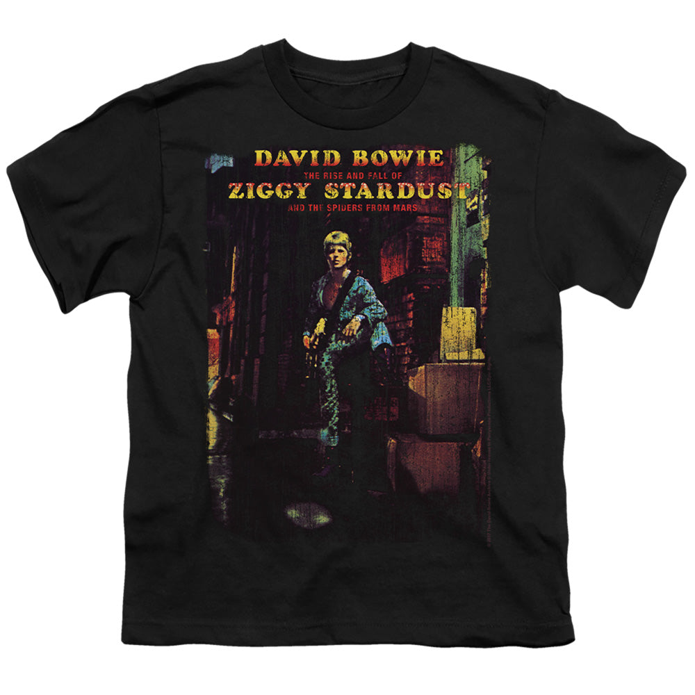 DAVID BOWIE/ZIGGY STARDUST ALBUM