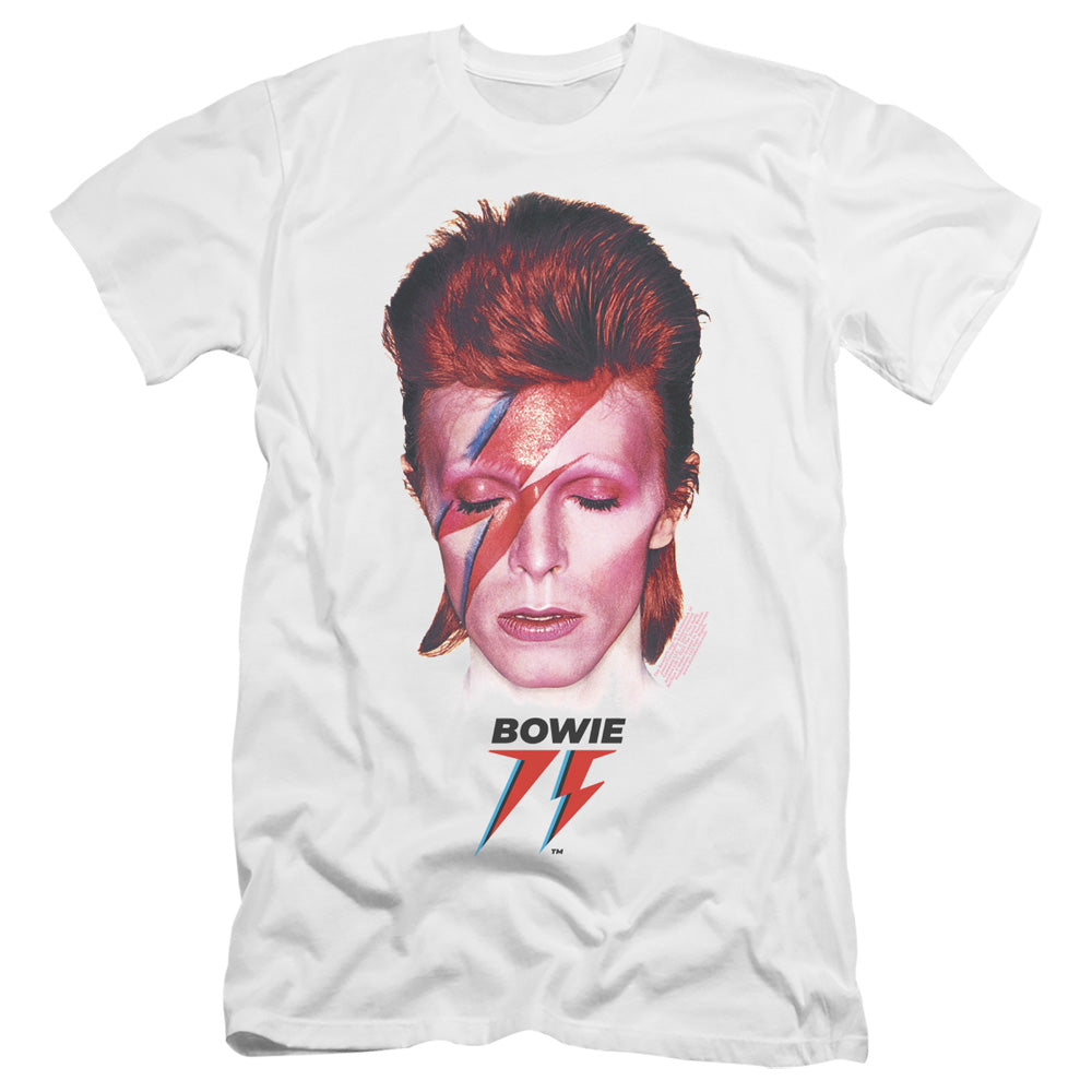 DAVID BOWIE/ALADDIN SANE 75