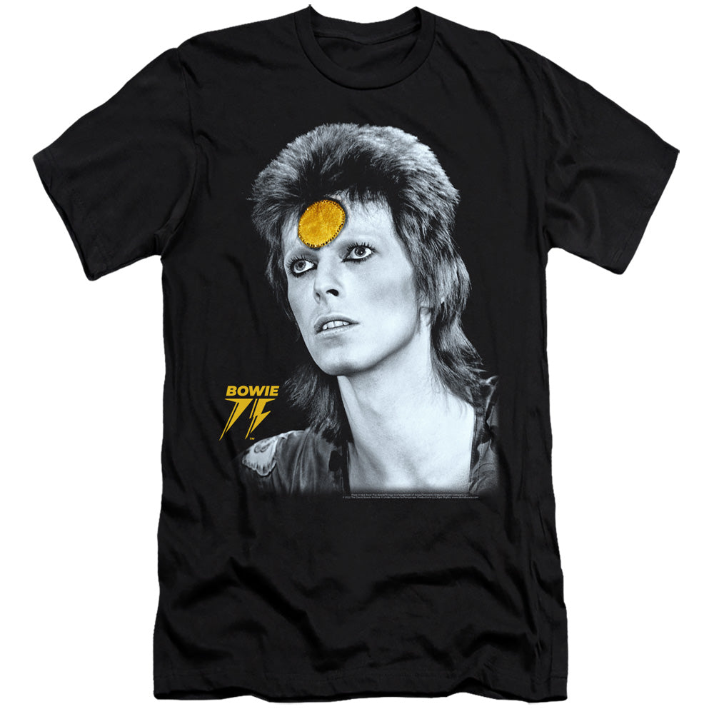 DAVID BOWIE/GOLDEN BOWIE