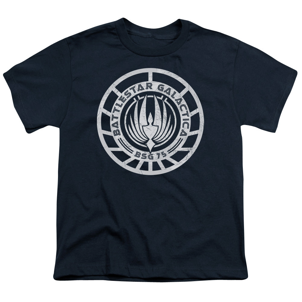 BSG/SCRATCHED BSG LOGO