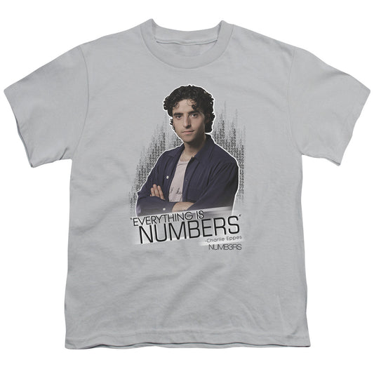 NUMB3RS/EVERYTHING IS NUMB3RS