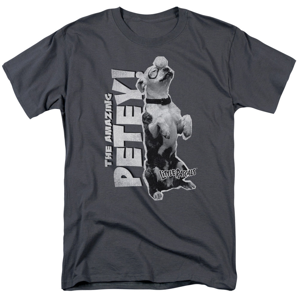 LITTLE RASCALS/AMAZING PETEY