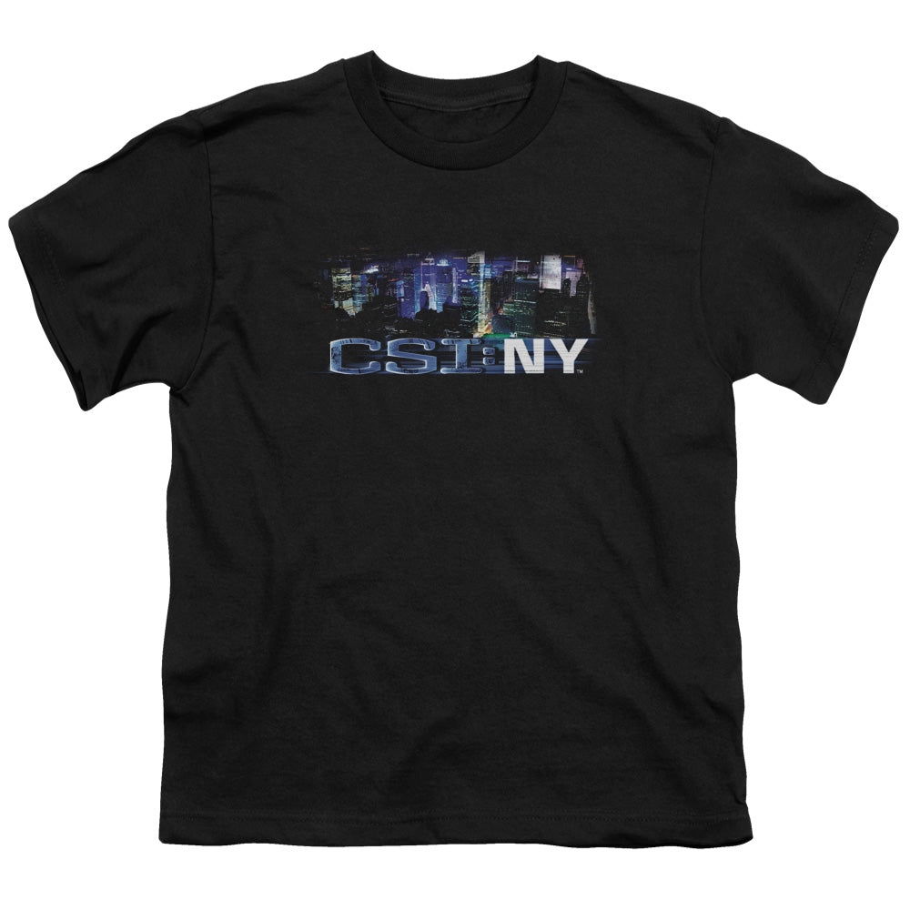 CSI NY/NEVER RESTS