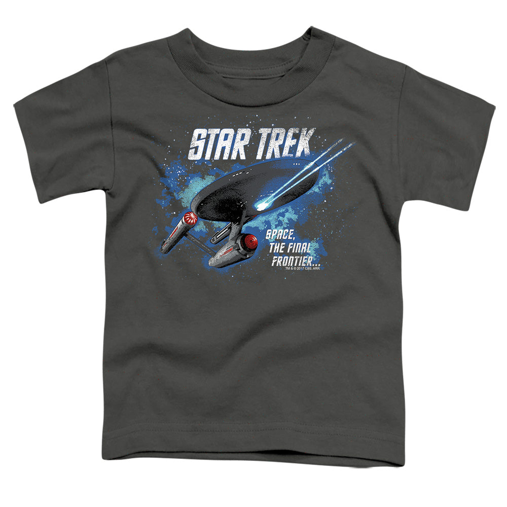 STAR TREK/THE FINAL FRONTIER