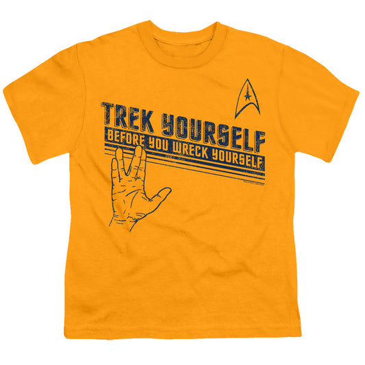 STAR TREK/TREK YOURSELF