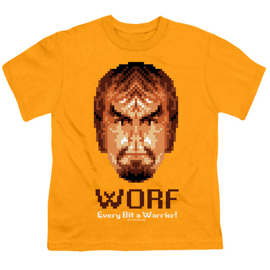 STAR TREK/BIT WARRIOR