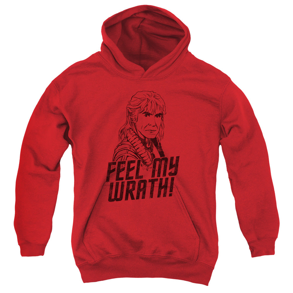 STAR TREK/MY WRATH