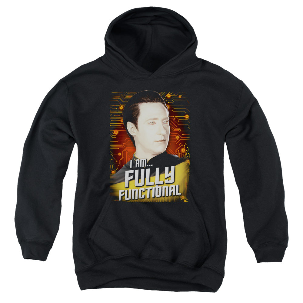 STAR TREK/FULLY FUNCTIONAL
