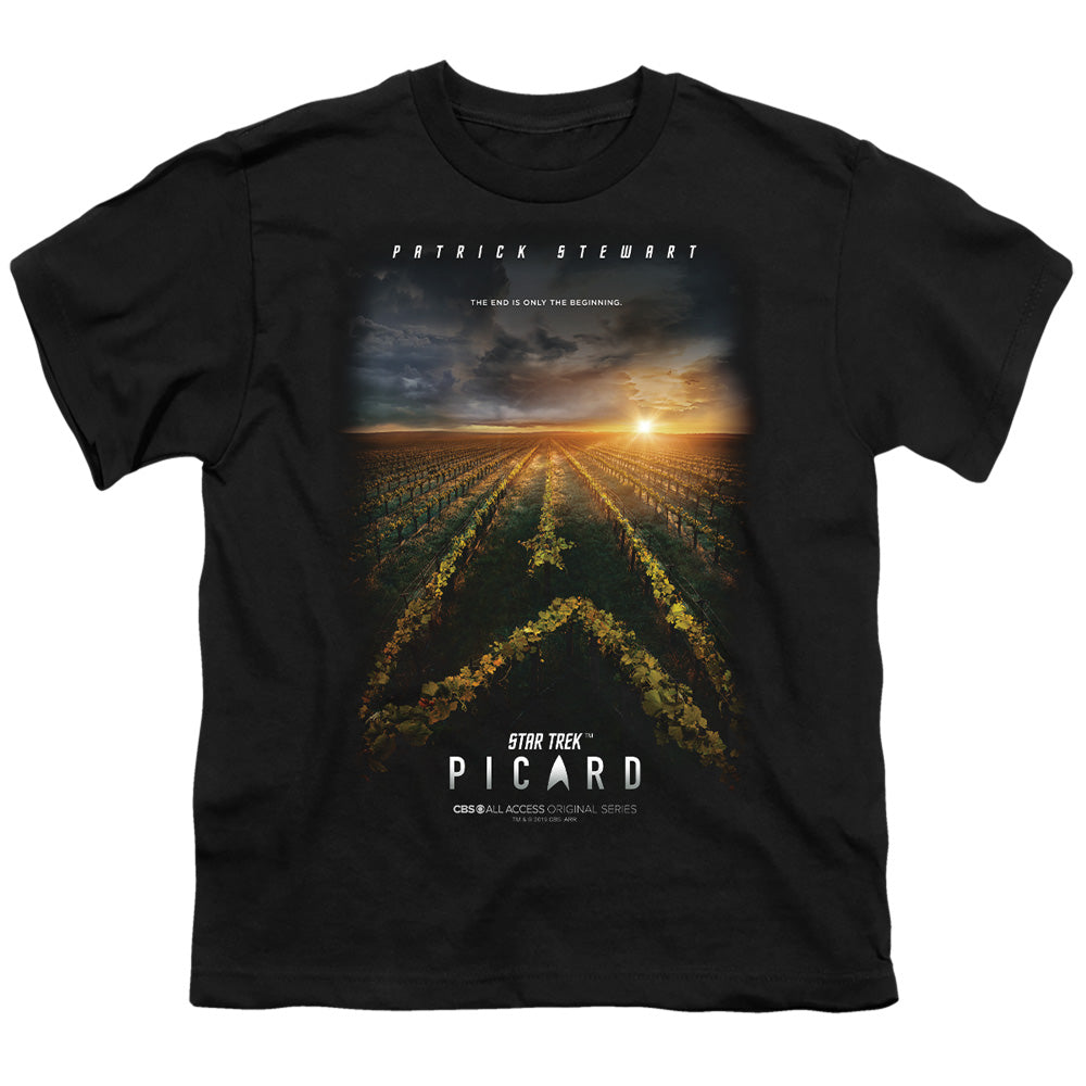 STAR TREK PICARD/PICARD POSTER