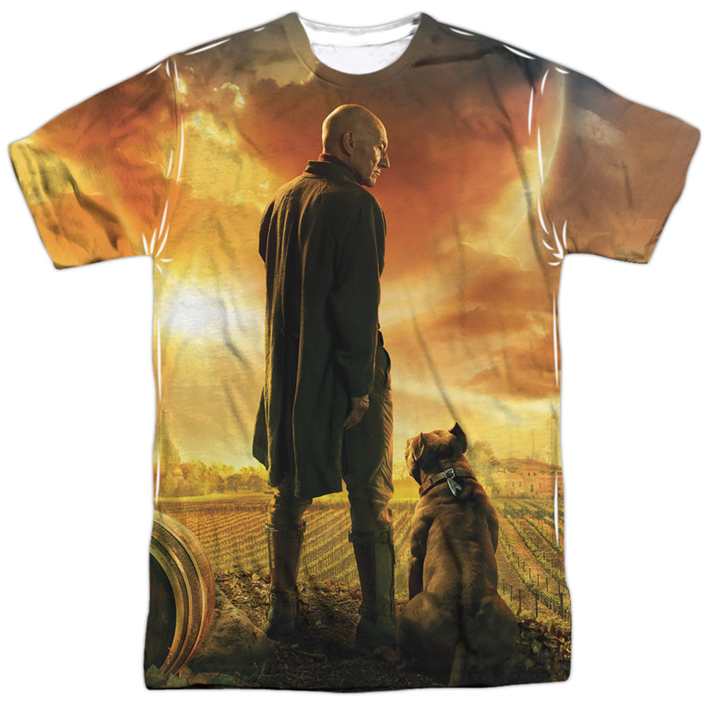 STAR TREK PICARD/PICARD POSTER