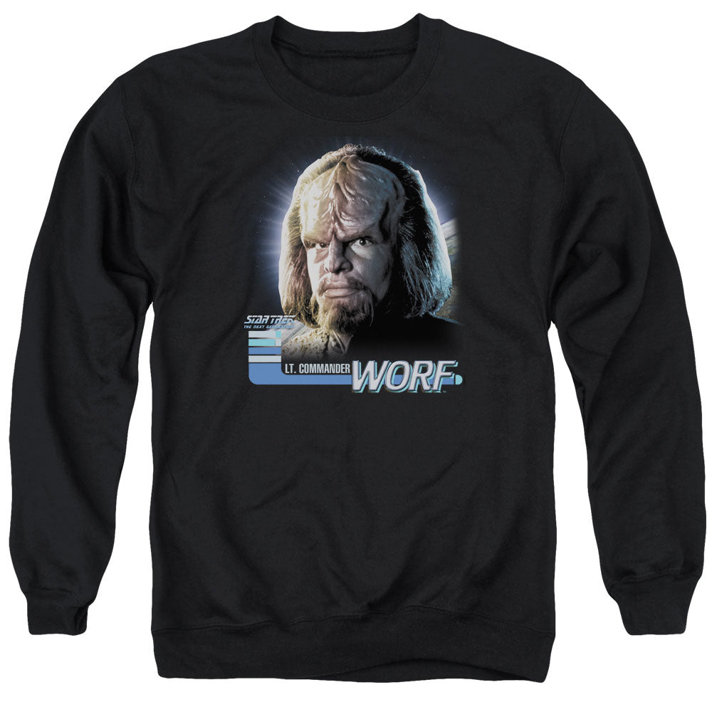 STAR TREK/TNG WORF