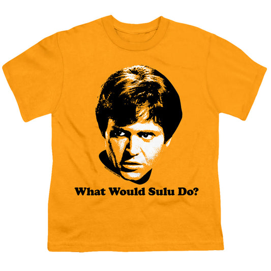 STAR TREK/WHAT WOULD SULU DO
