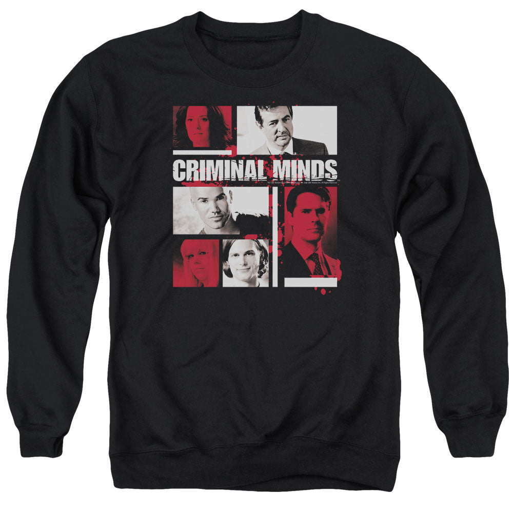 CRIMINAL MINDS/CHARACTER BOXES