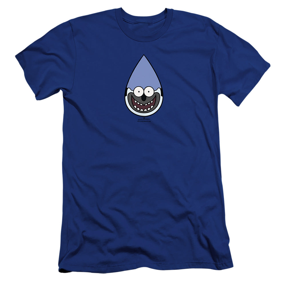 REGULAR SHOW/MORDECAI