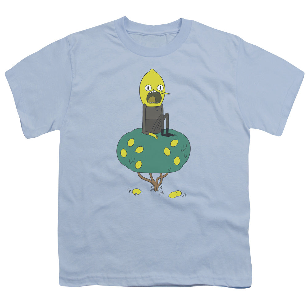 ADVENTURE TIME/LEMONGRAB