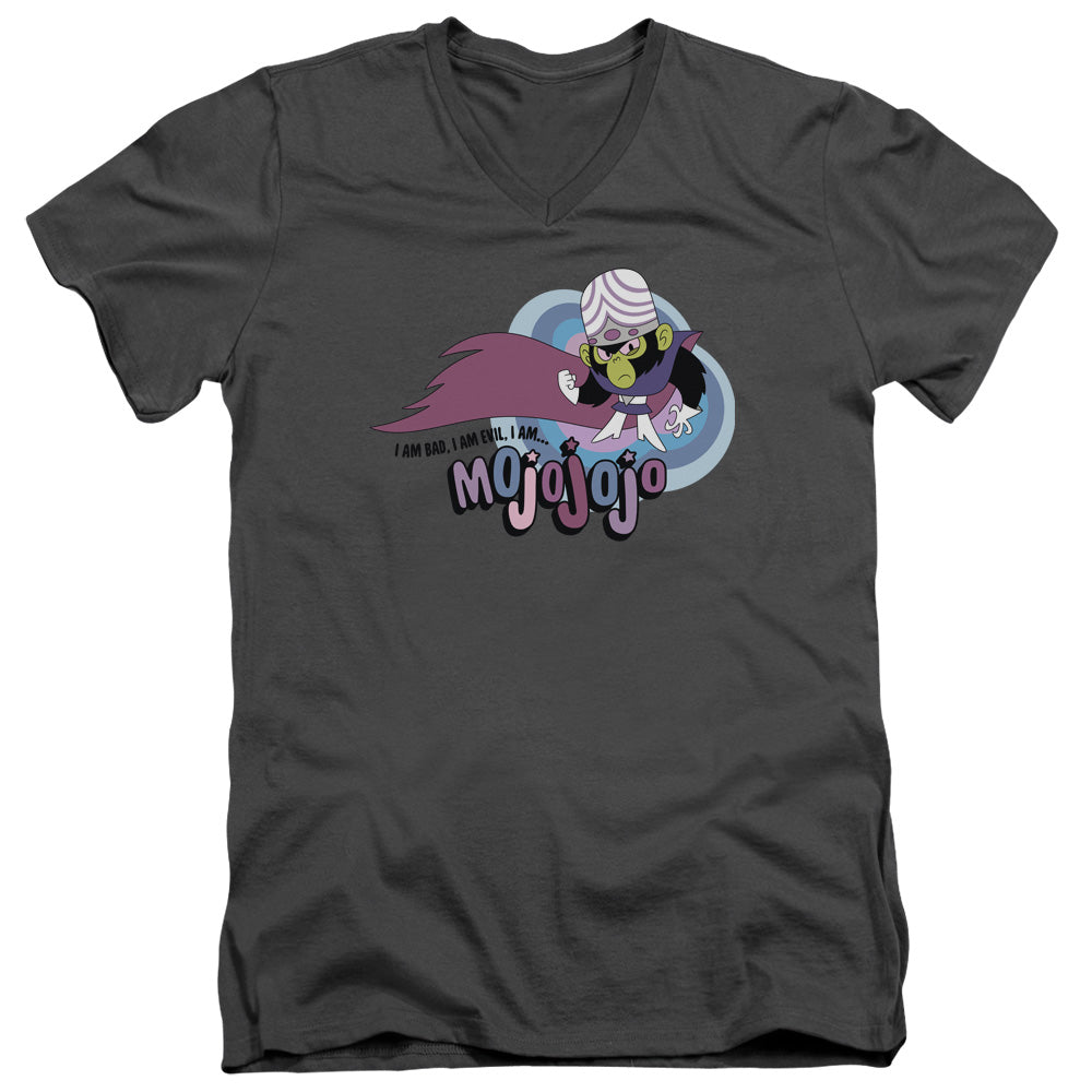POWERPUFF GIRLS/I AM BAD I AM EVIL