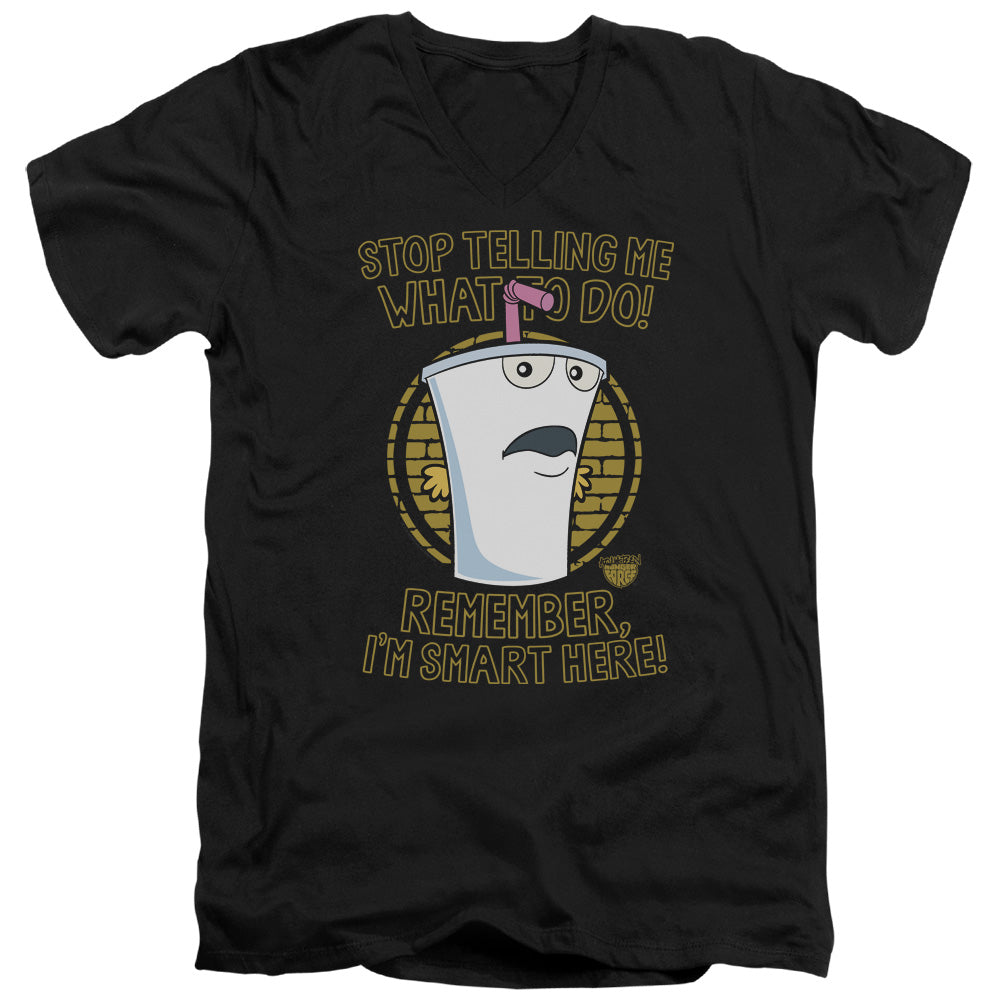 AQUA TEEN HUNGER FORCE/STOP