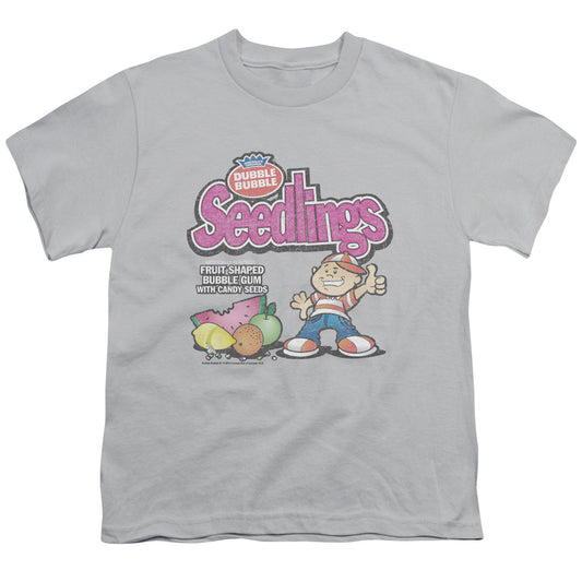 DUBBLE BUBBLE/SEEDLINGS