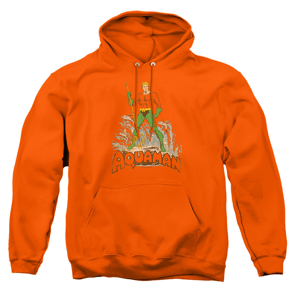DC/AQUAMAN DISTRESSED