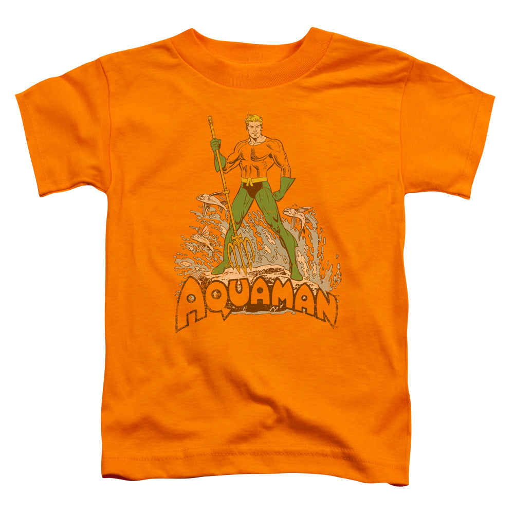 DC/AQUAMAN DISTRESSED