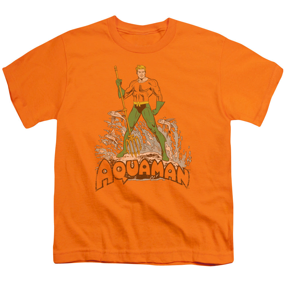 DC/AQUAMAN DISTRESSED