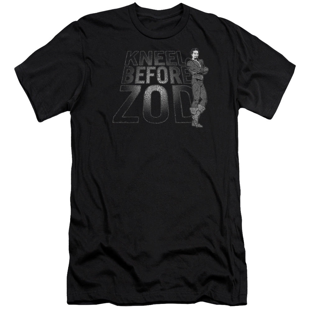 DC/KNEEL ZOD