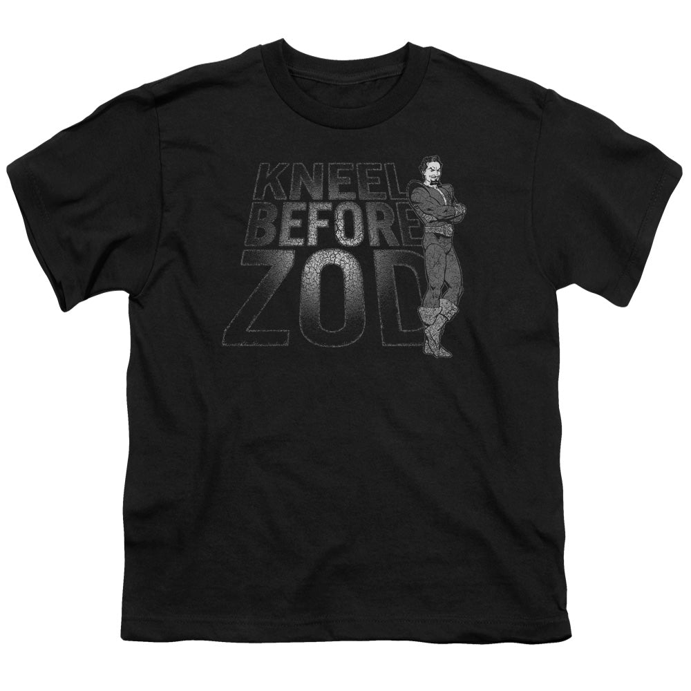 DC/KNEEL ZOD