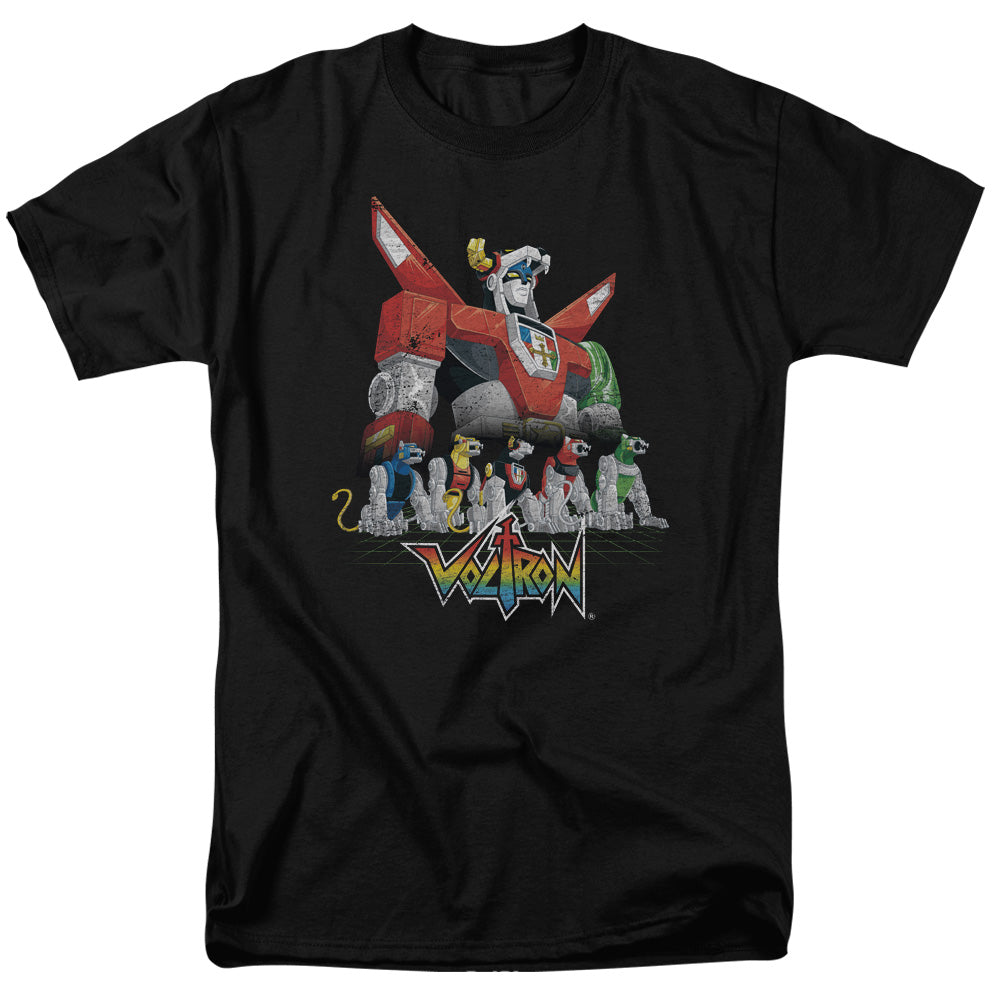VOLTRON/LIONS