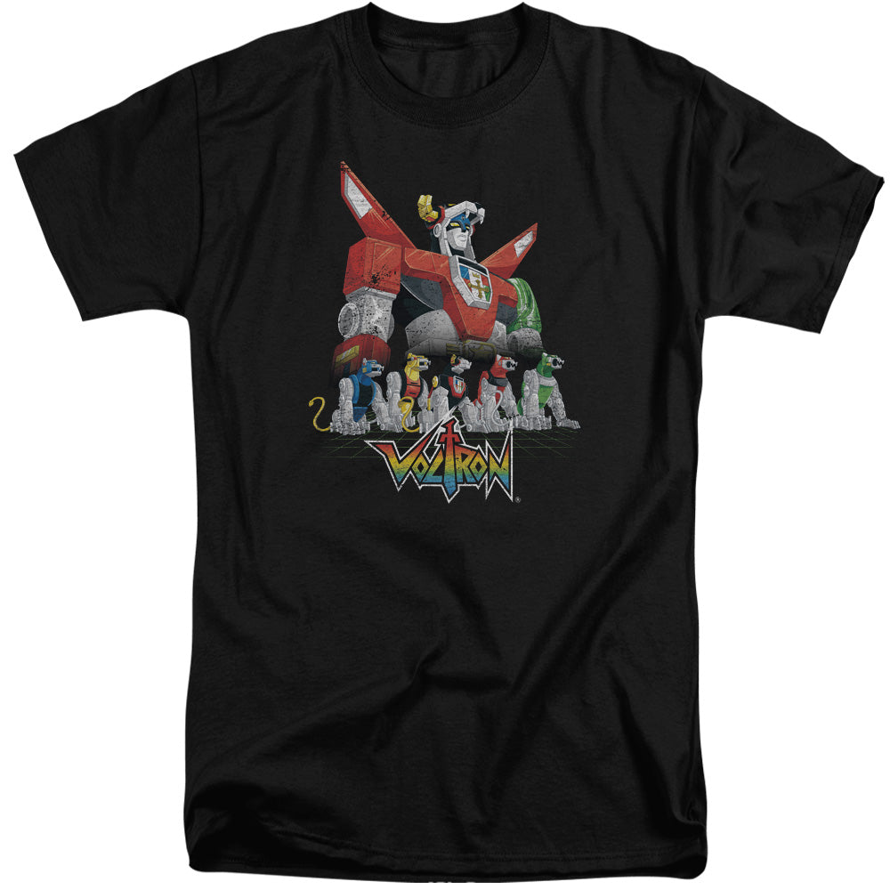 VOLTRON/LIONS