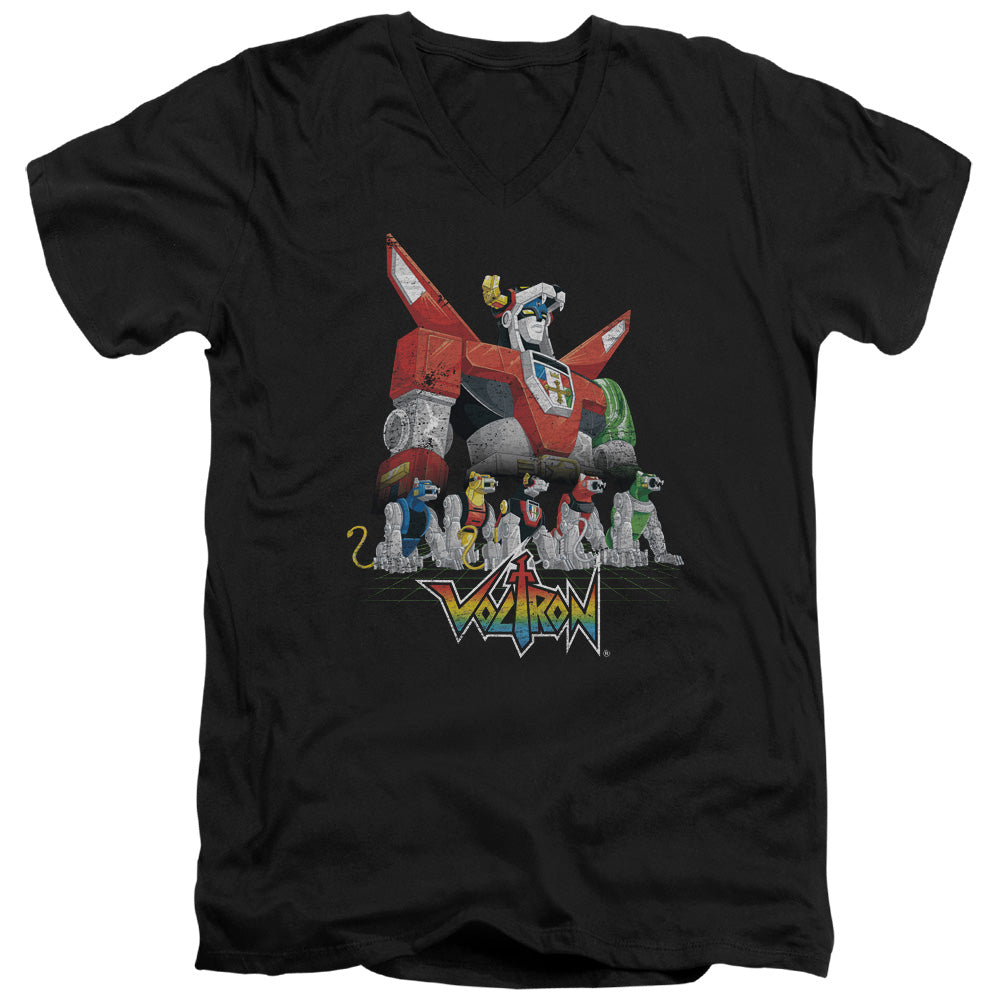 VOLTRON/LIONS