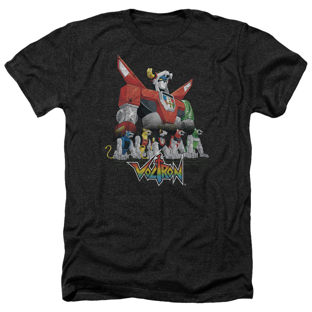 VOLTRON/LIONS