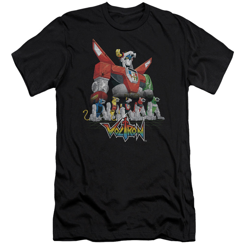 VOLTRON/LIONS