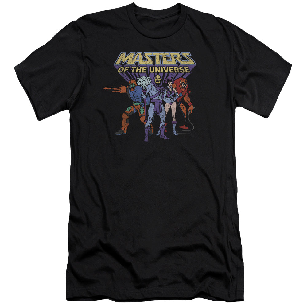 MASTERS OF THE UNIVERSE/TEAM OF VILLAINS