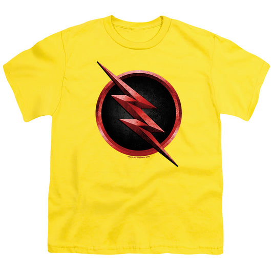FLASH/REVERSE FLASH LOGO