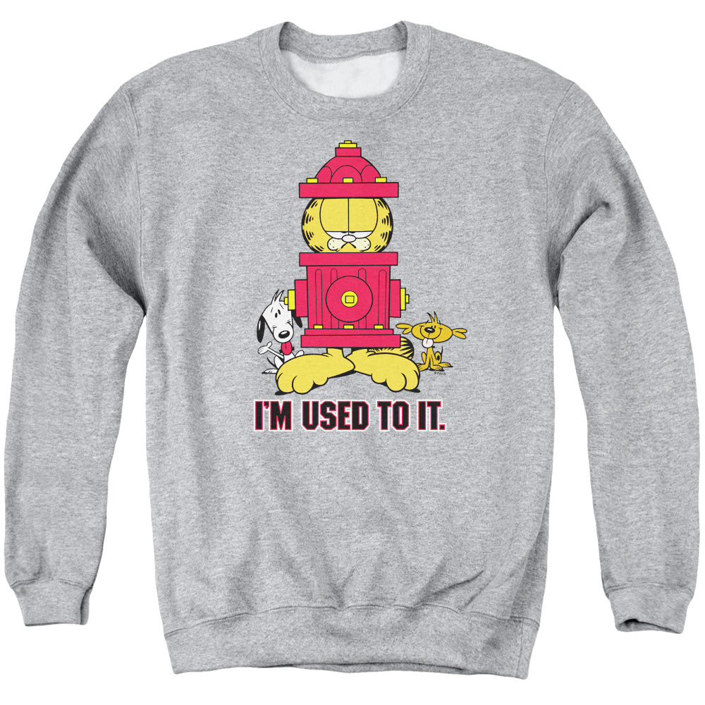 GARFIELD/I'M USED TO IT