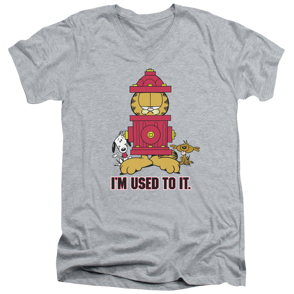 GARFIELD/I'M USED TO IT