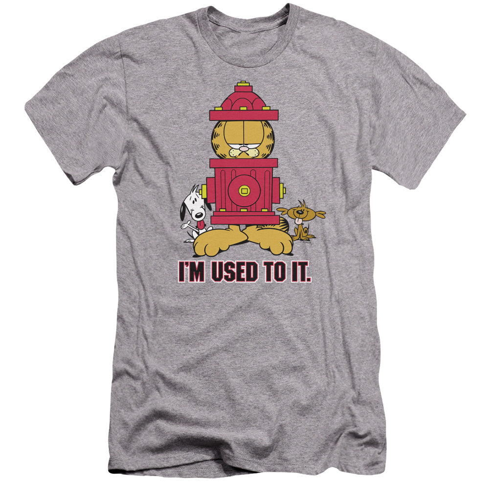 GARFIELD/I'M USED TO IT