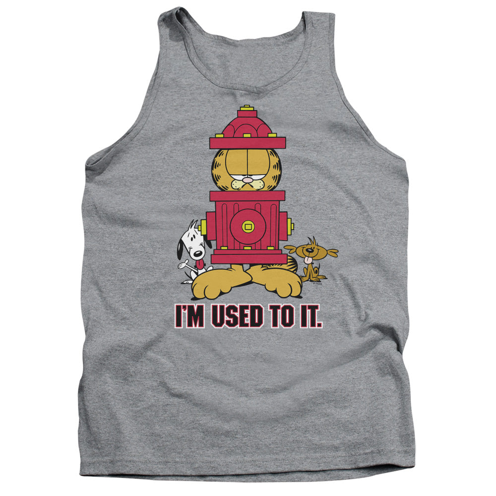 GARFIELD/I'M USED TO IT