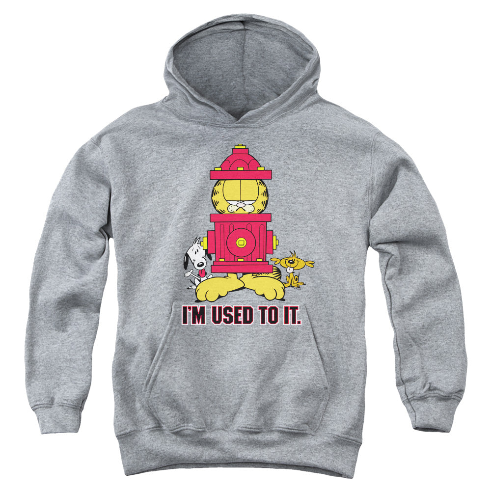 GARFIELD/I'M USED TO IT