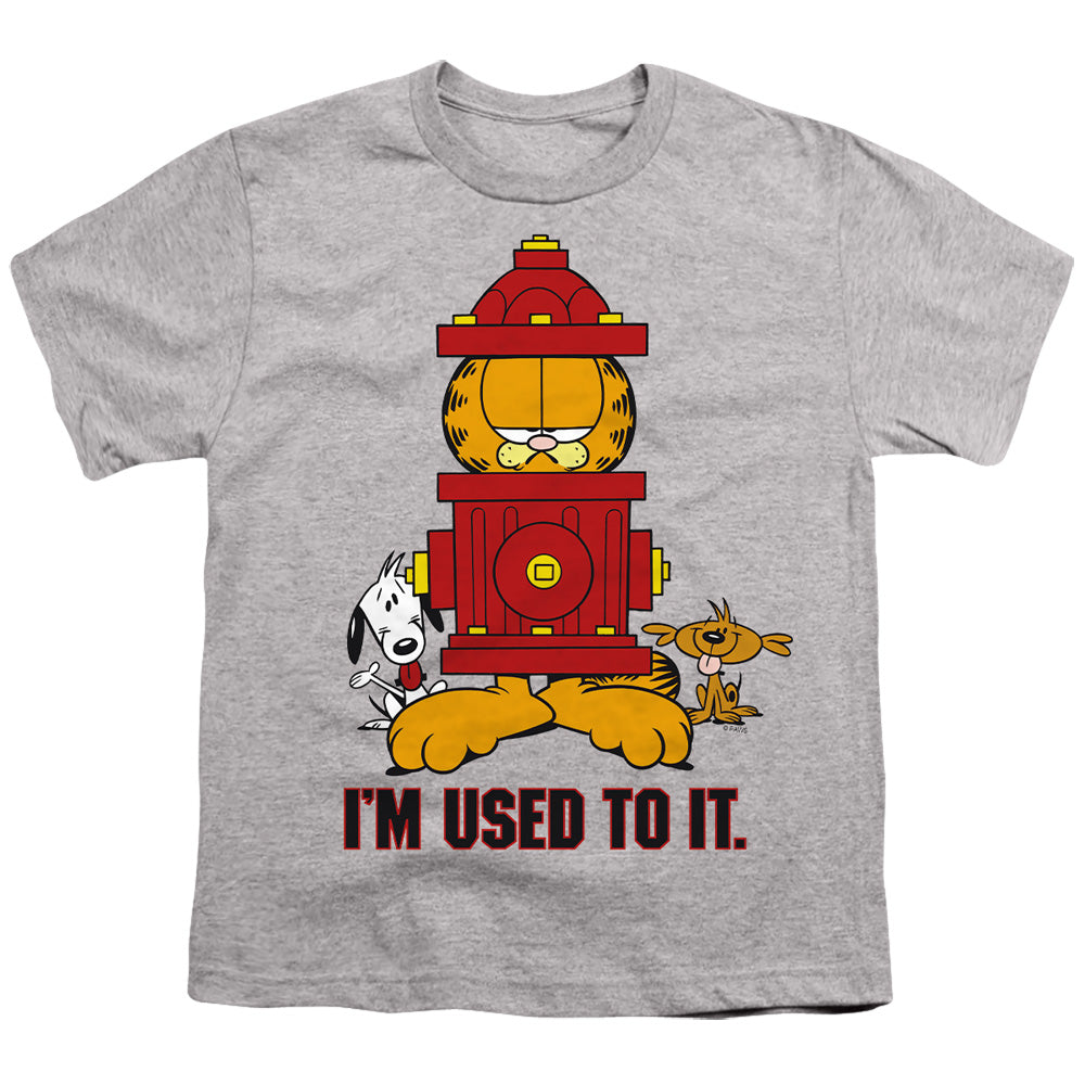 GARFIELD/I'M USED TO IT