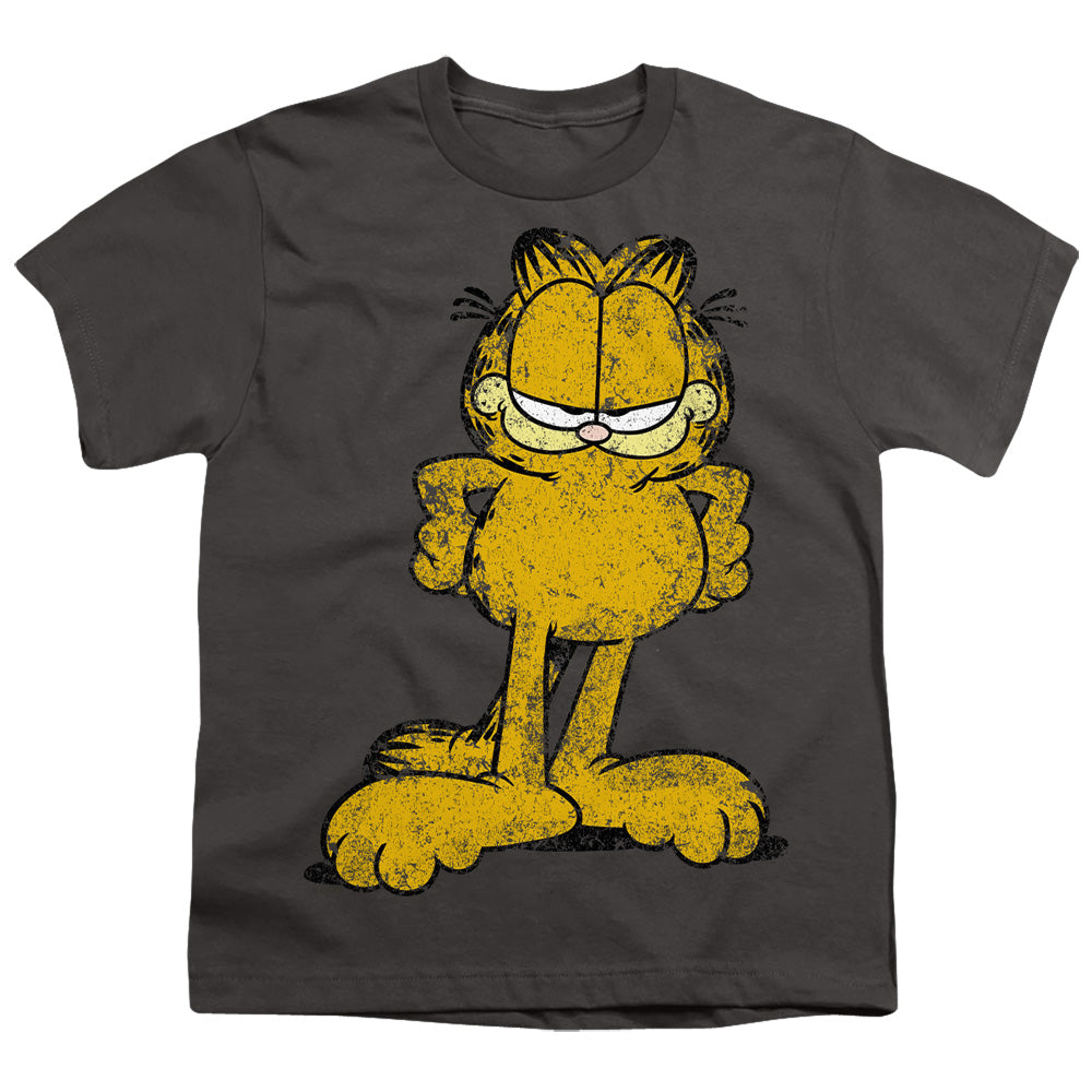 GARFIELD/BIG OL CAT