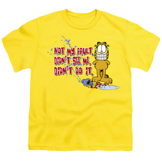 GARFIELD/NOT MY FAULT