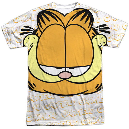 GARFIELD/BIG FACE